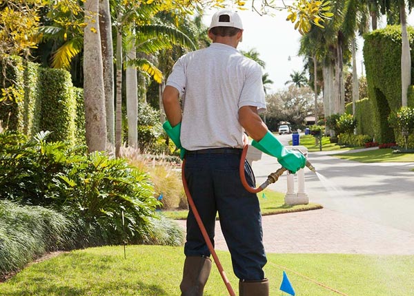 About Calera AL Pest Control Pros